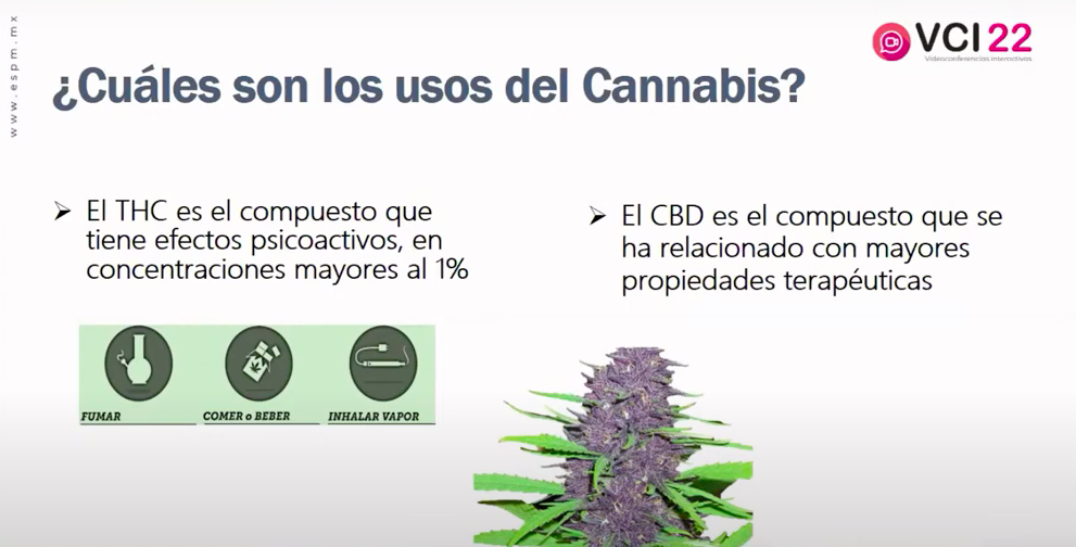usos_cannabis.png